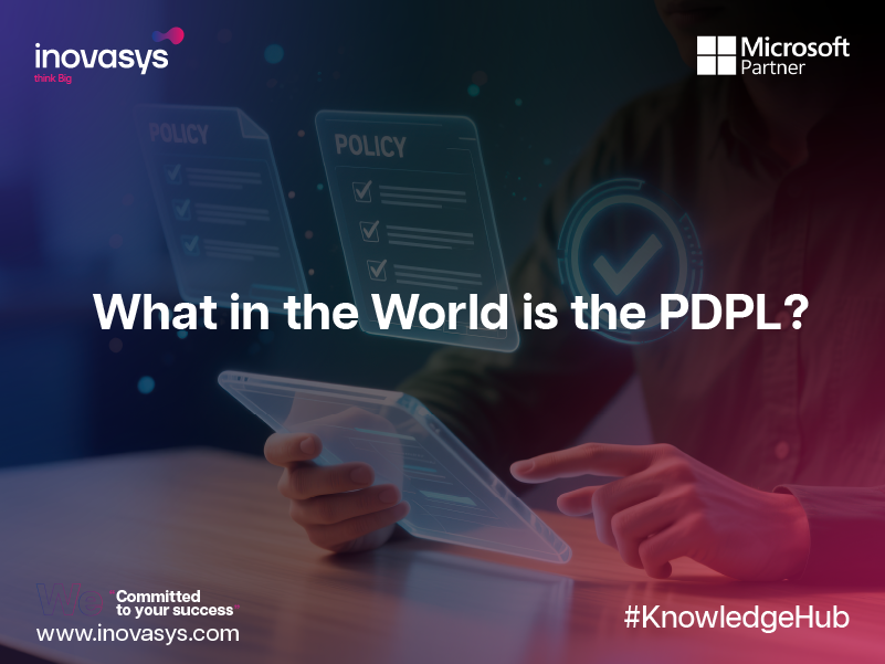 What in the World is the PDPL?